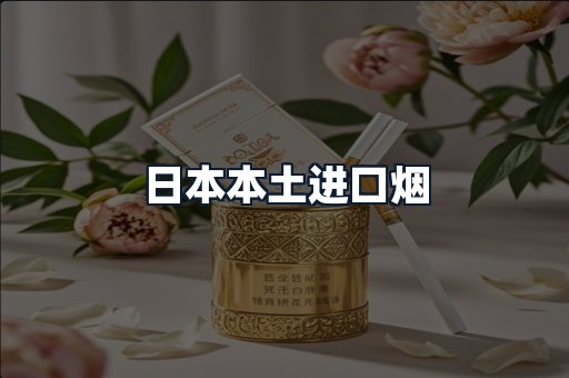 日本本土进口烟